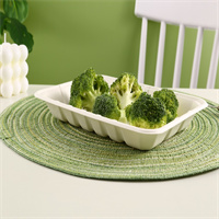 biodegradable / Sugarcane plate from disposablesInc.com. The best import service in China. Import your disposable items and products from us. DisposablesInc.com. The best import service in China. Import your disposable items and products from us.